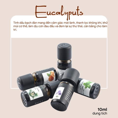 Tinh dầu 10ml 79B Bạch đàn
