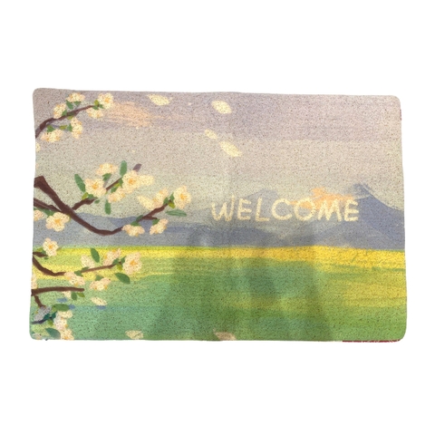 Thảm Wellcome đa hình 60*90