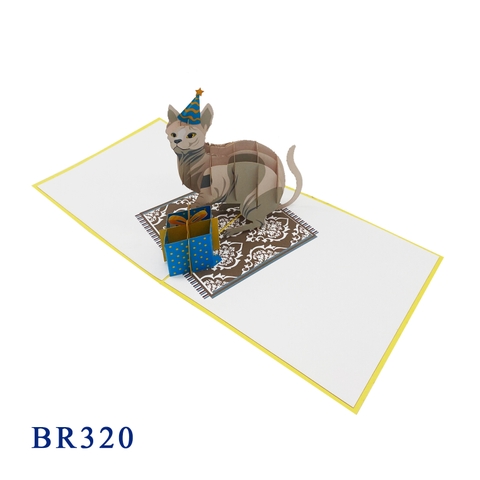 Birthday Cat Pop Up Card