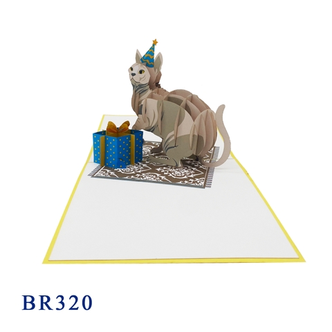 Birthday Cat Pop Up Card