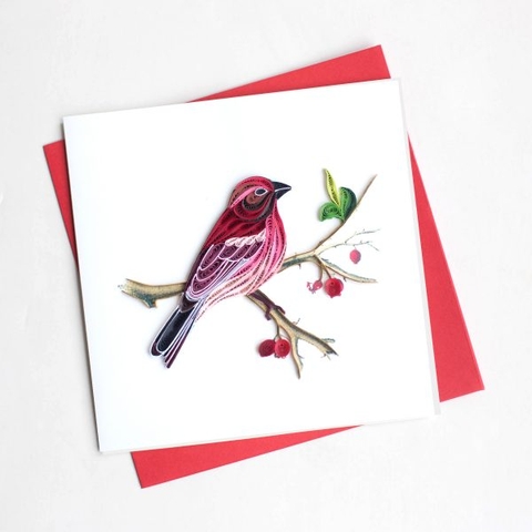 Bird Quilling Card