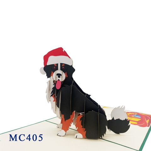 Noel Bernese Mountain Pop Up Card
