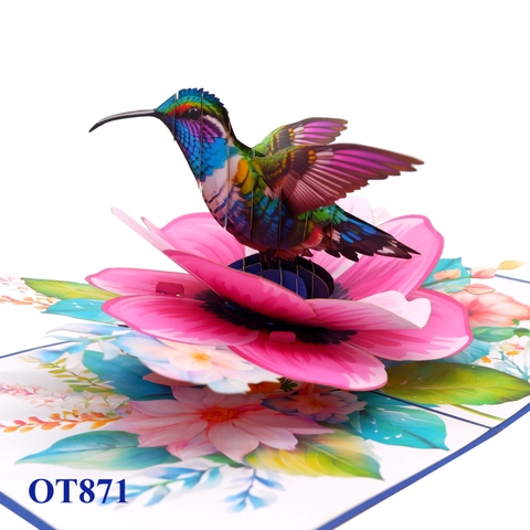 Anemone Coronaria Flower Hummingbird Pop Up Card