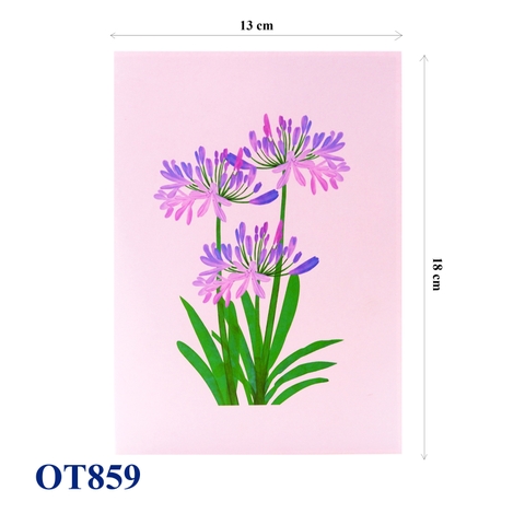 Agapanthus Flowers Pop Up Card