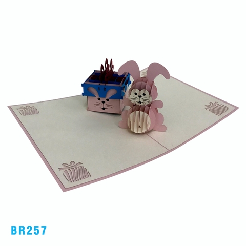 Birthday Rabbit Present Pop Up Card