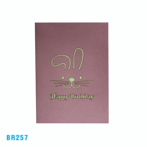 Birthday Rabbit Present Pop Up Card
