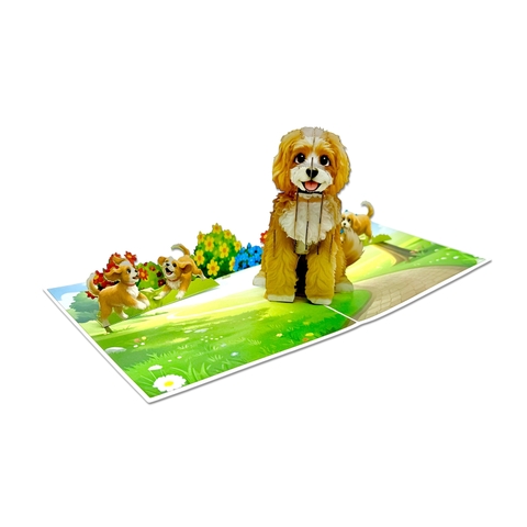 Cavalier King Charles Spaniel Dog Pop-Up Card