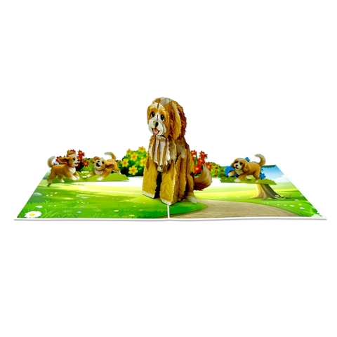 Cavalier King Charles Spaniel Dog Pop-Up Card