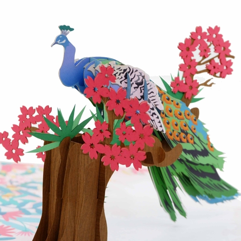 Peacock Pop Up Card