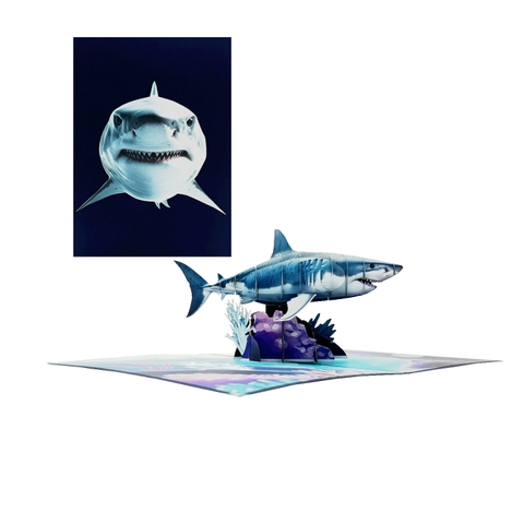 Shark 3D Pop Up Greeting Card