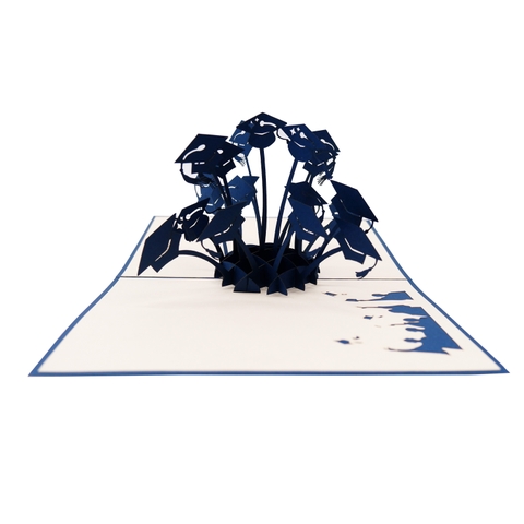 3D Graduation Pop-Up Card