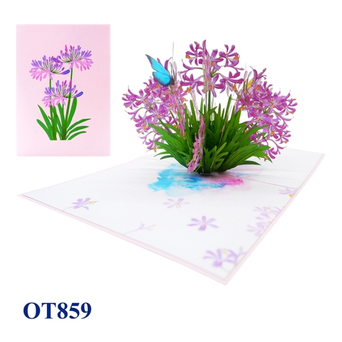 Agapanthus Flowers Pop Up Card
