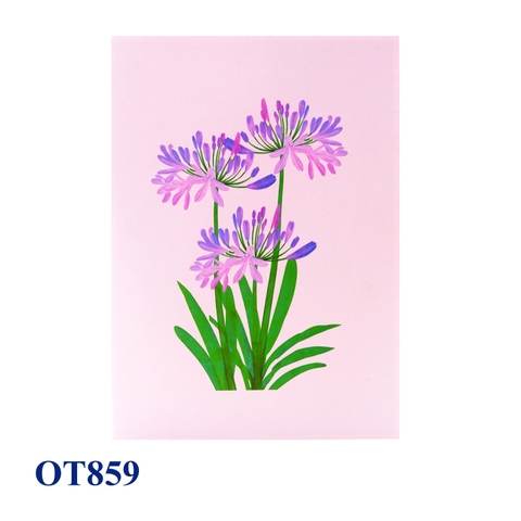 Agapanthus Flowers Pop Up Card