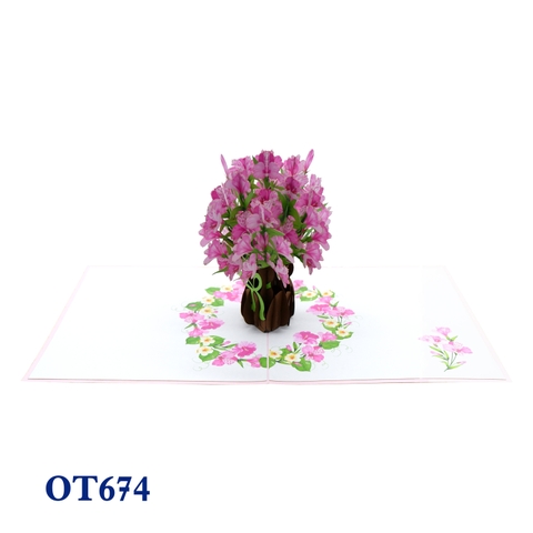 Alstroemeria Hybrids Flowers Pop Up Card