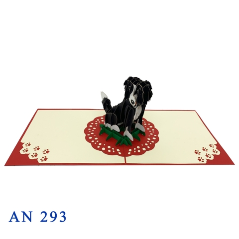Border Collie Dog Pop Up Card