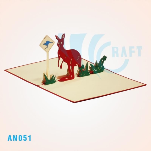 AN051 - KANGAROO