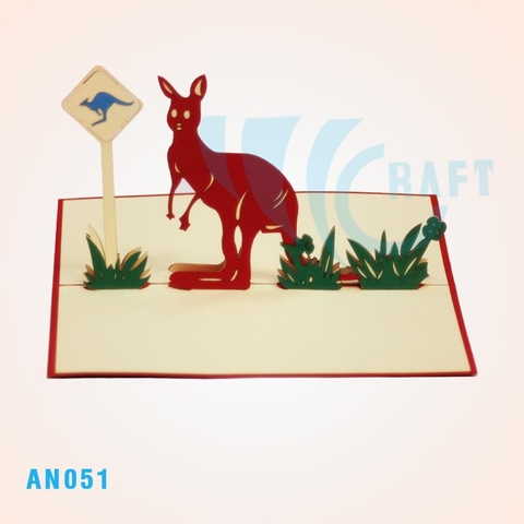 AN051 - KANGAROO