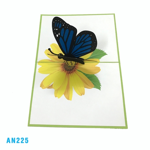 Butterfly Pop Up Card
