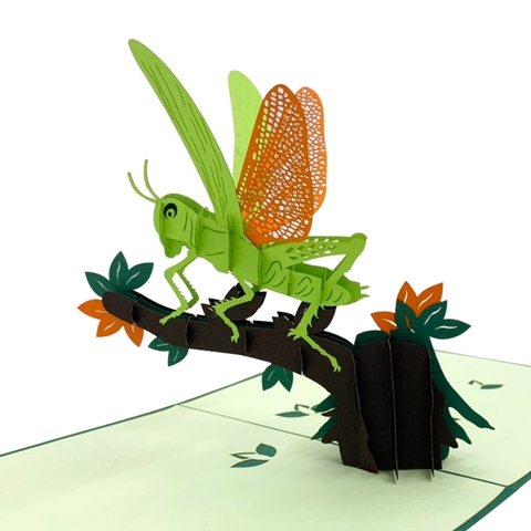 Grasshopper Pop Up Card