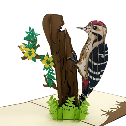 Woodpecker Pop Up Card