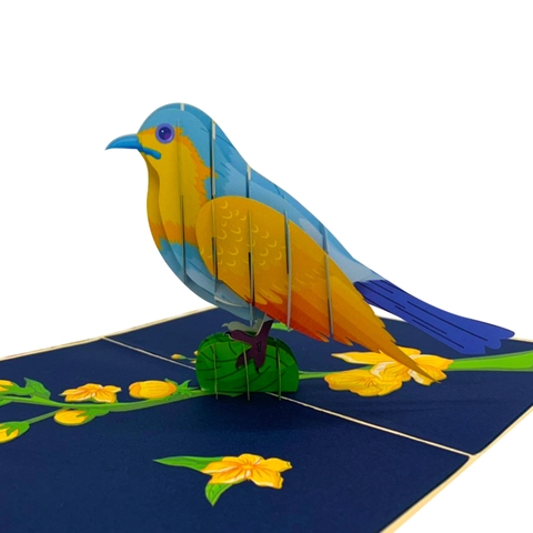 Blue Bird Pop Up Card