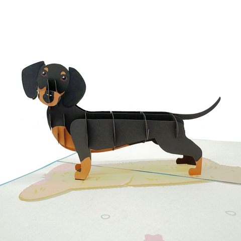 Dachshund Dog Pop Up Card
