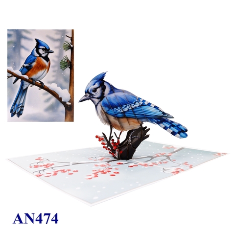Blue Jay Winter Pop-Up Card
