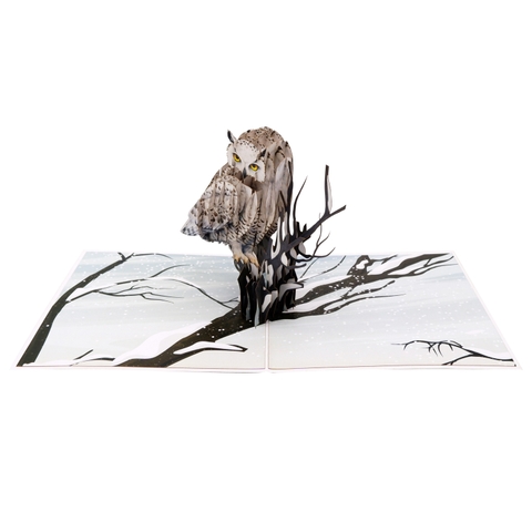 Snowy Owl 3D Pop Up Card