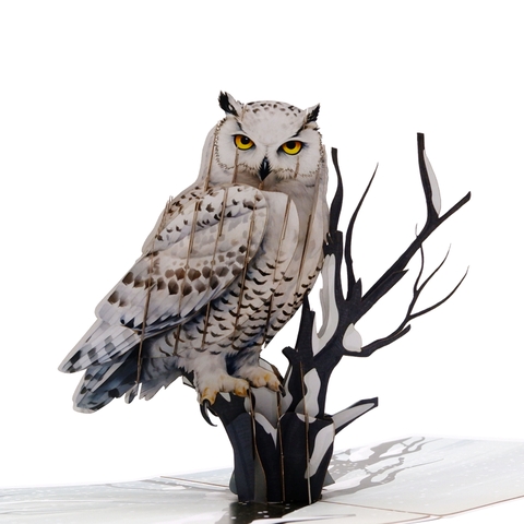 Snowy Owl 3D Pop Up Card
