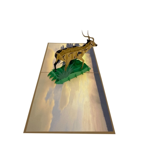 Antelope Pop Up Card