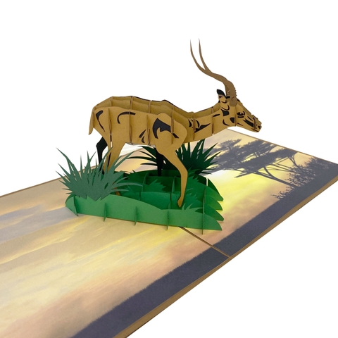 Antelope Pop Up Card