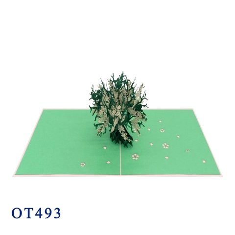 Apricot Tree Pop Up Card