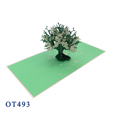 Apricot Tree Pop Up Card