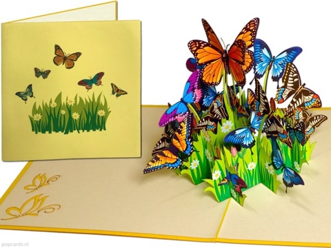 Butterfly Pop Up Card