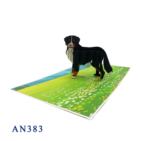 Bernese Mountain Dog Pop Up Card