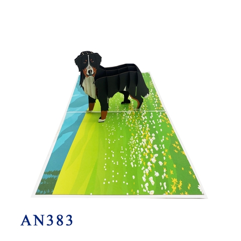 Bernese Mountain Dog Pop Up Card