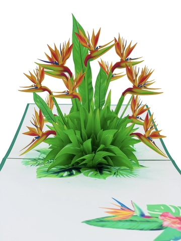Bird Of Paradise Flowers 3D Pop Up Greeting Card