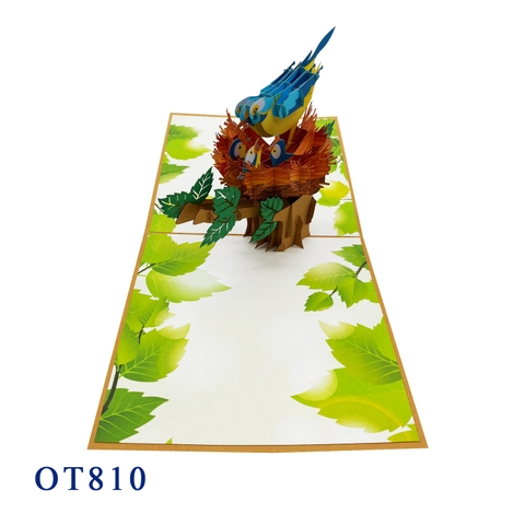 Birds Family Pop Up Card