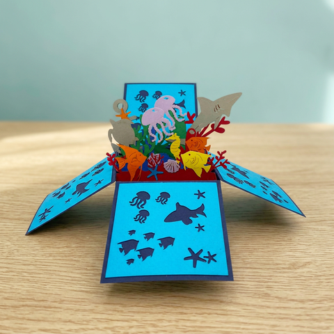 Ocean Pop Up Box