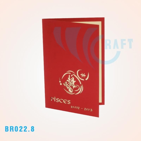 BR022.8 - PISCES