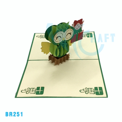 Birthday Owl Pop Up Card