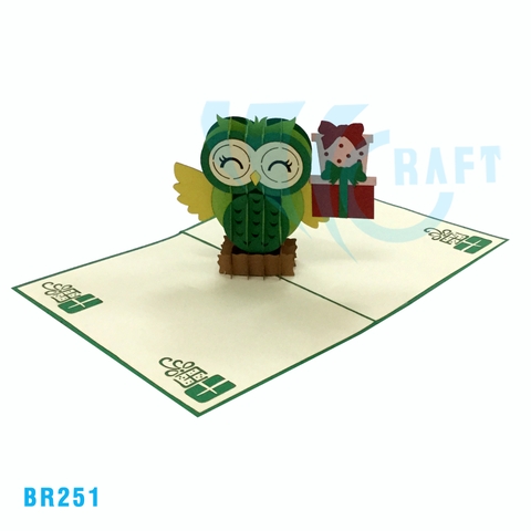 Birthday Owl Pop Up Card