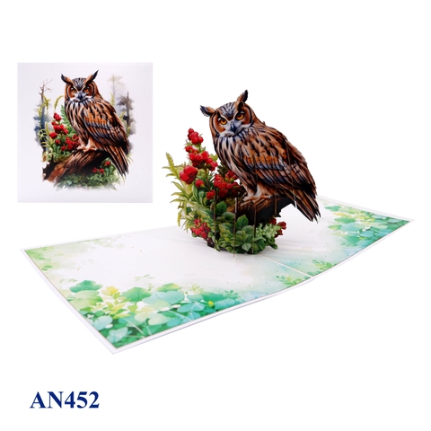 Brown Owl Pop Up Greeting Card