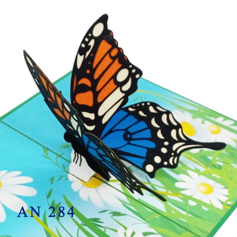 Butterfly and Daisy Pop Up Greeting card