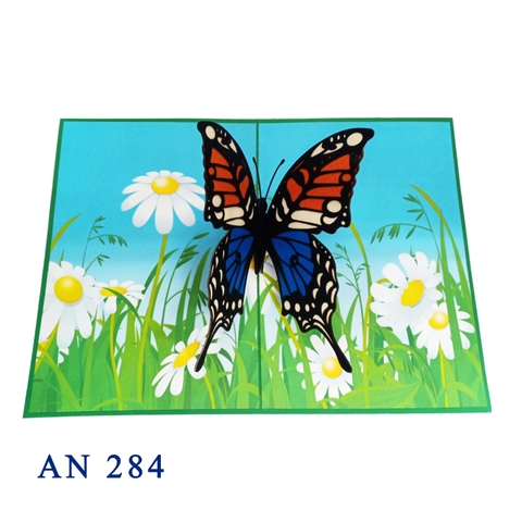 Butterfly and Daisy Pop Up Greeting card
