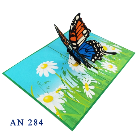 Butterfly and Daisy Pop Up Greeting card