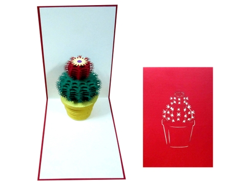 Cactus Pop Up Card