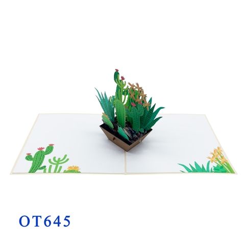 Cactus Pop Up Card