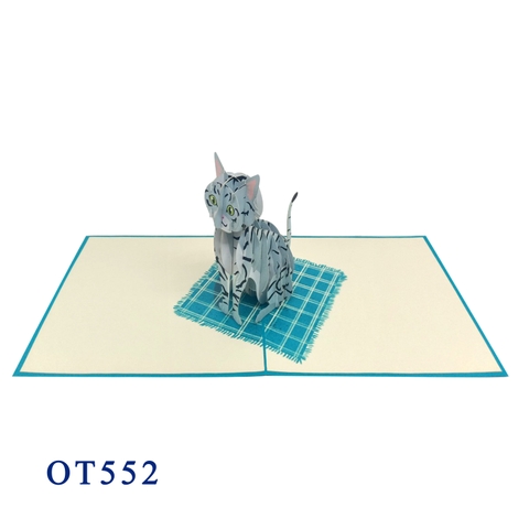 American Shorthair Cat Pop Up Card
