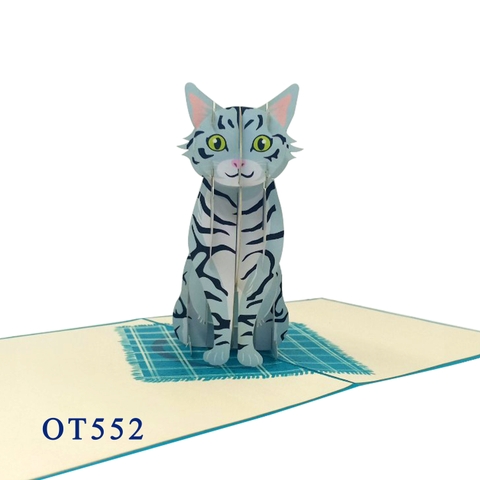 American Shorthair Cat Pop Up Card
